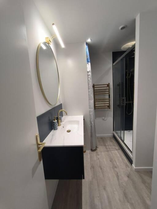 Ferienwohnung T2 -55M2- Elegant Et Chaleureux Montbrison Exterior foto